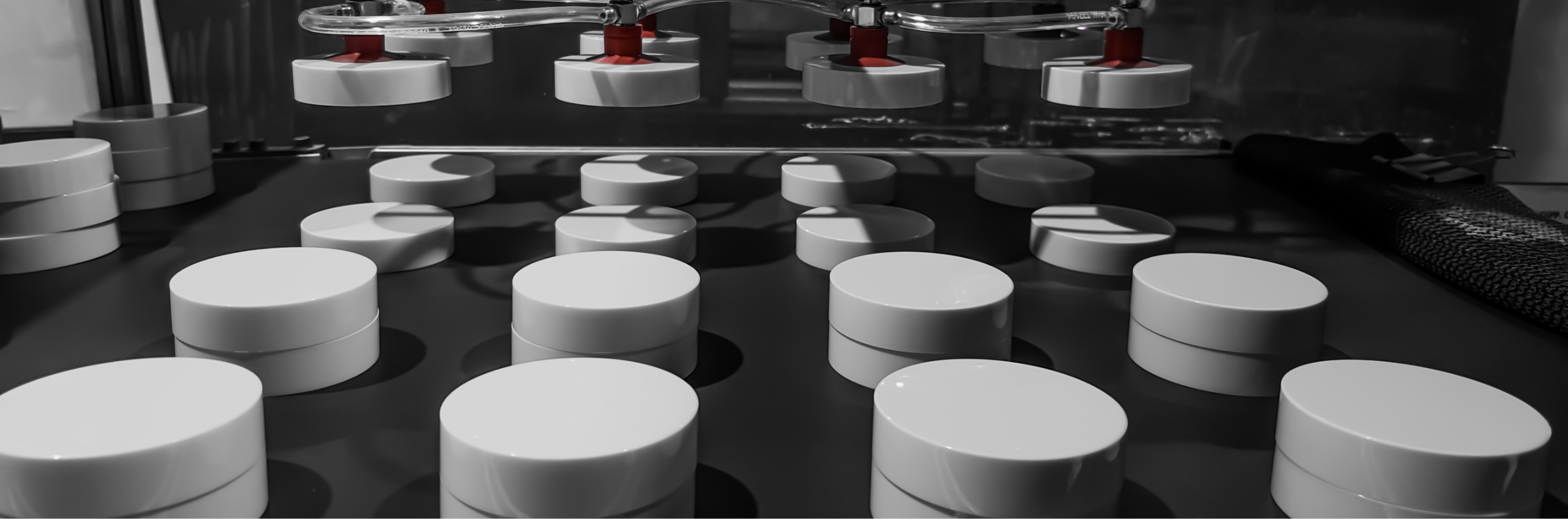 shutterstock_1896886471